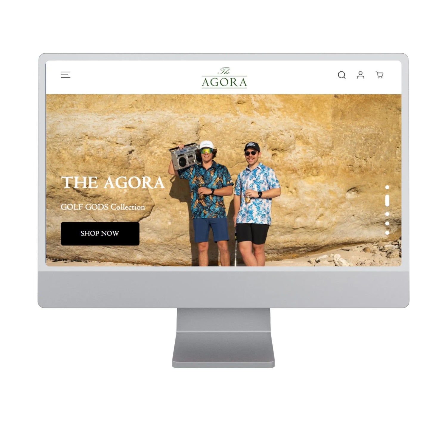 Shopify Web Design Work